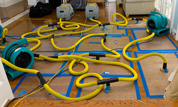 Professional Burst Pipe Water Damage technician working in Cross Plains, TX