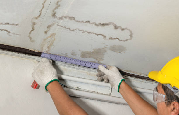 Affordable Water Damage Repair solutions in Cross Plains, TX